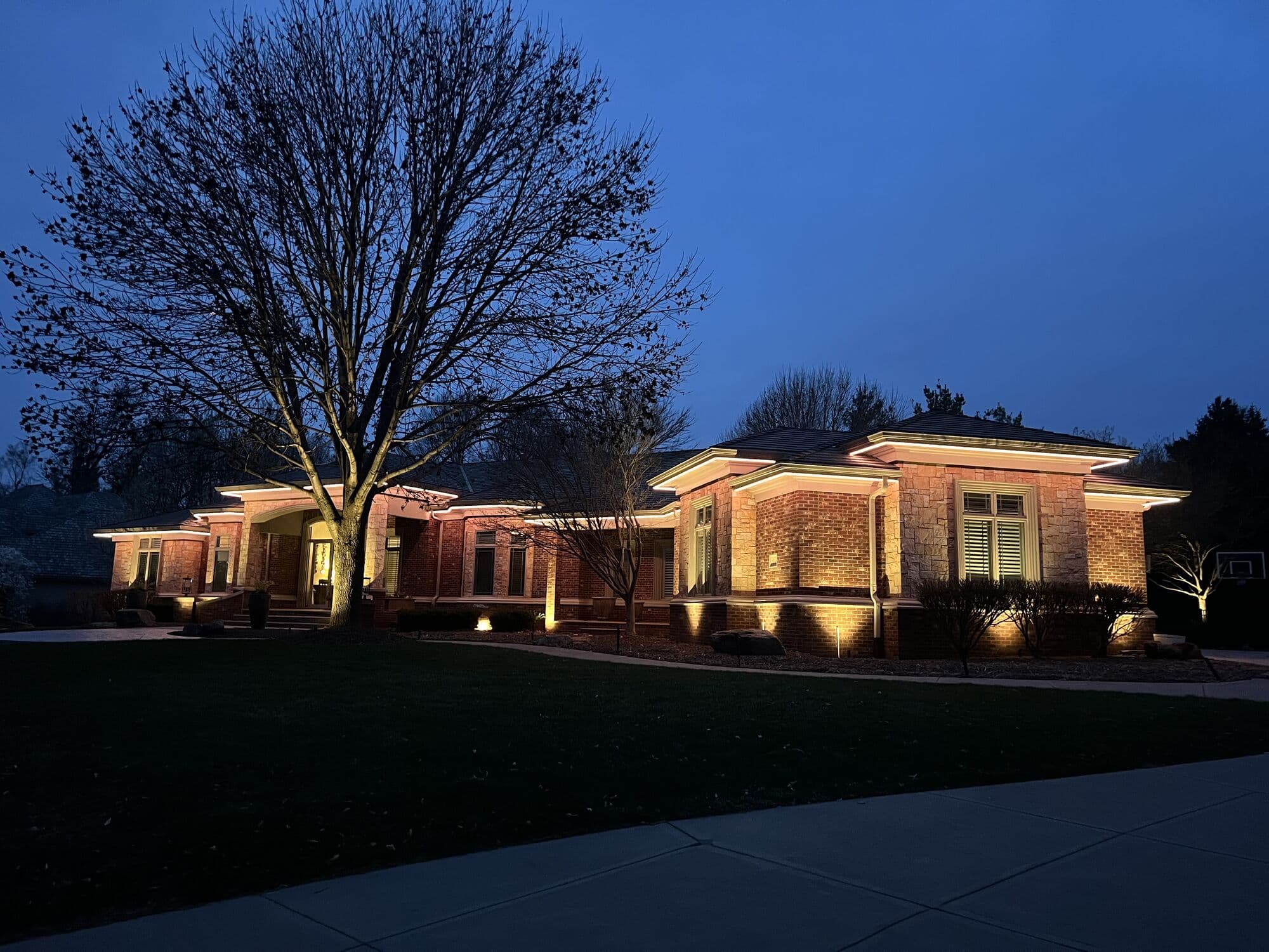 A wide Omaha ranch at blue hour, warm white along the roofline and uplights through a bare tree and the planting beds