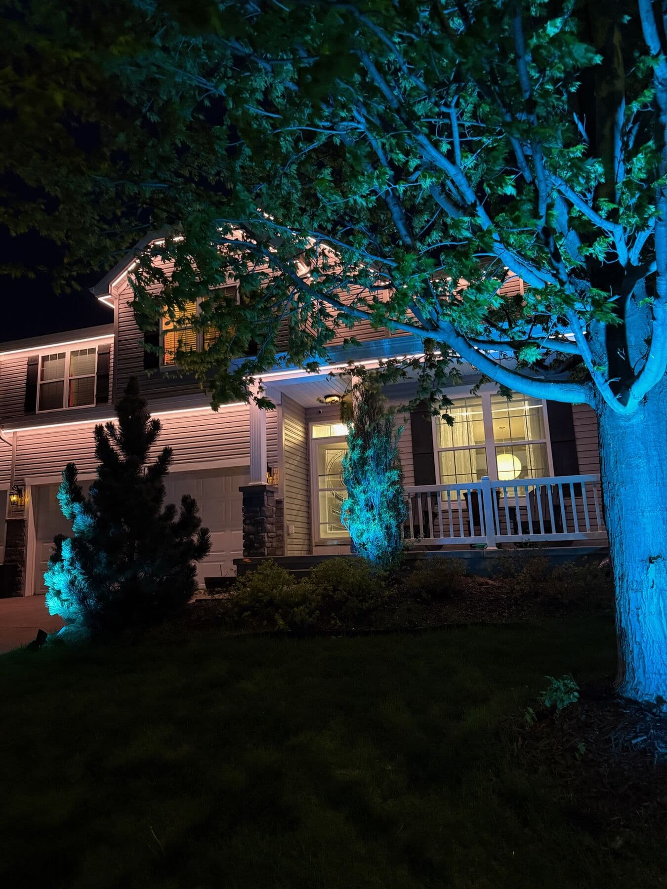 A large tree uplit in teal beside an Omaha home with a warm lit porch behind it